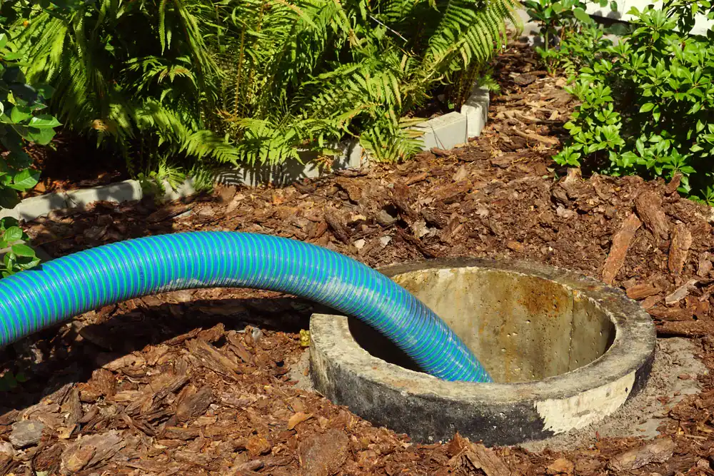 Close-up of septic tank hose in a Cook County, Illinois garden, showcasing All Rooter Hydro Jetting experts performing professional septic services